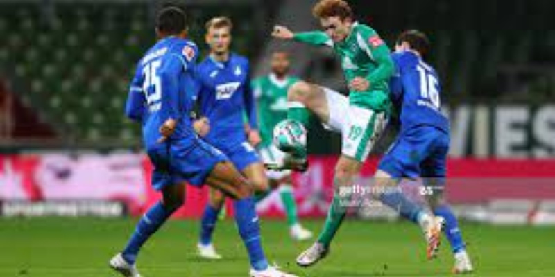 Sự Thăng Trầm Của Hoffenheim